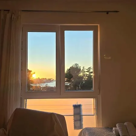Apartment In - Istrien 43257